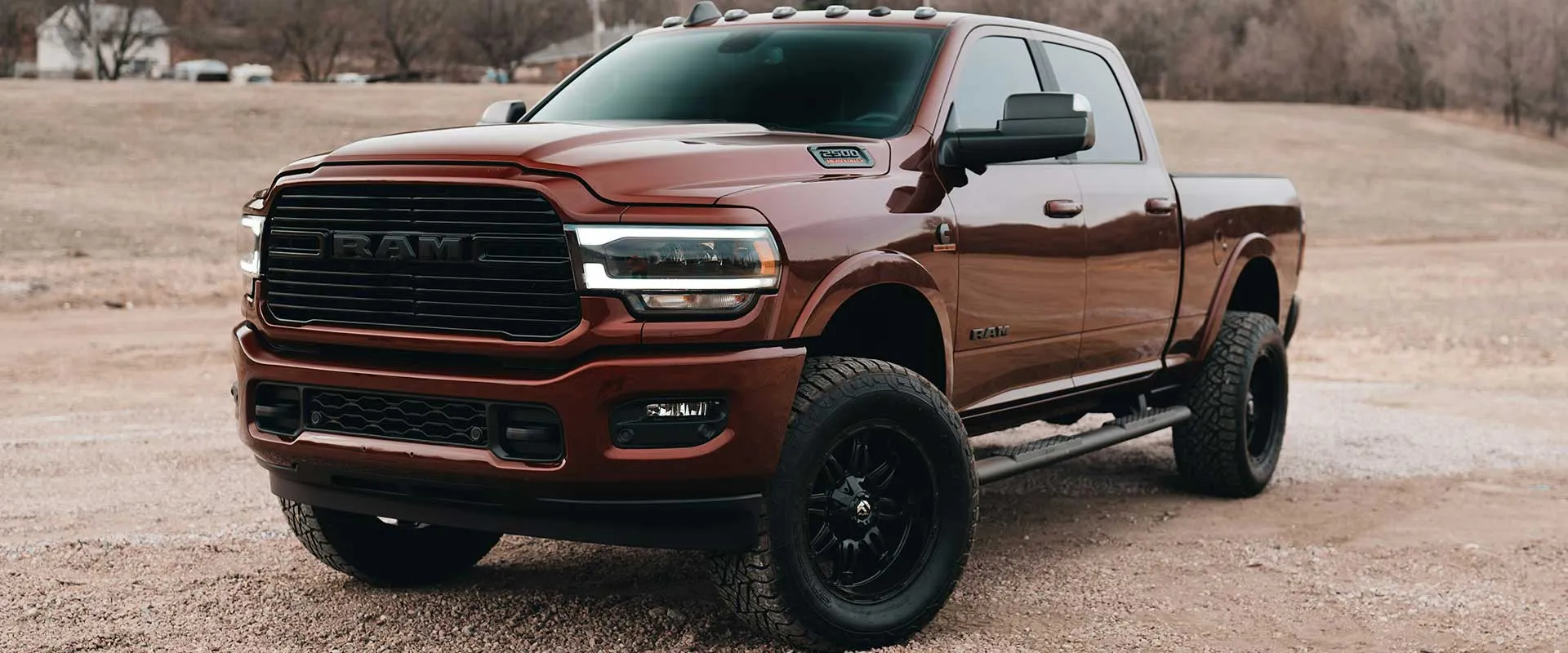 Ram near Round Rock, TX